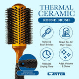 Small Round Blow Dry Brush - Boar Bristle, Thermal Ceramic Barrel, Professional Anti-Static Roller Hair Brush for Styling and Blow Drying - 12 Row, For Short to Medium Hair - By Cantor