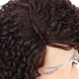 Afro Curly Lace Front Wigs Brown Synthetic Heat Resistant Fiber Short Curly Wig Natural Black for Black Women