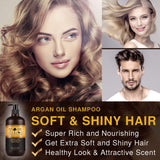 Argan Deluxe Shampoo in professional quality 10.1 fl oz - strong care with argan oil for smoothness and shine