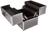Caboodles Goddess 4 Tray Train Case, Cosmetic Storage Case & Organizer, Silver, 4.03 Lb
