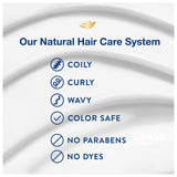 Dove Amplified Textures Shampoo, Conditioner, Leave-In Conditioner for Coils, Curls and Waves with Coconut Milk, Aloe, and Jojoba Moisture Amplifying Blend 11.5 oz 3 Count