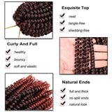 3 Pack Spring Twist Crochet Braids Bomb Twist Crochet Braiding Hair Dorsanee Spring Twist Hair Kinky Curly Crochet Hair Extensions for Black Women (8inch,T350#)