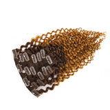 Clip in Human Hair Extensions Afro Jerry Curly 3B 3C Real Hair Clip in Extensions For Black Women Natural Black Color 100% Brazilian African American Hair Extensions (14 inch, Jerry Curly #1B/27)