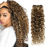 12 Inch Curly Clip in Hair Extensions Human Hair Brown Highlights Blonde Natural Wave Hair 100g 7Pcs Clip in Hair Extensions wavy