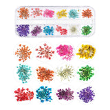 NEPAK 4 Boxes Nail Dried Flowers and 3D Butterfly Nail Glitter Sequins, Holographic Nail Sequins for Tips Manicure Decor
