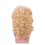 Yilys 80s Long Curly Men's Mullet Wig Heavy Metal Halloween Rocker Style Hair (Blonde2#)