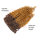 Clip in Human Hair Extensions Afro Jerry Curly 3B 3C Real Hair Clip in Extensions For Black Women Natural Black Color 100% Brazilian African American Hair Extensions (14 inch, Jerry Curly #1B/27)