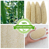 18 Packs Bath Shower Loofah Sponge Pad Exfoliating Loofah Body Scrubber 100% Natural Bath Sponge Brush Men and Women for Bath Spa and Shower