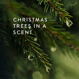 Thymes Hand Wash - 15 Fl Oz - Frasier Fir