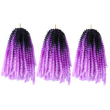 Yisimei Spring Twist Hair Ombre Color 3PCS/Lot Spring Twist Crochet Hair 18 Colors Avaliable Hight Temperature Fiber Hair Extensions (8“ 3PCS/Lot, C5)