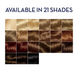 Clairol Age Defy Hair Coloring Tools, 2 Black
