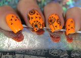 Parrot Polish Orangutan Orange