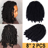 Silike Spring Twist Crochet Hair Extensions(2 Pieces/Pack) 8 Inch Crochet Braid Synthetic Braiding Hair For Women For Gifts (Black)