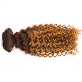 Clip in Human Hair Extensions Afro Jerry Curly 3B 3C Real Hair Clip in Extensions For Black Women Natural Black Color 100% Brazilian African American Hair Extensions (14 inch, Jerry Curly #1B/27)
