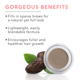 100% PURE Long Last Brows, Brow Pomade, Blonde, Long Lasting, Brow Tint for Fuller Brows, Healthier Hair Growth w/Biotin, Pro-Vitamin B5, Natural Eyebrow Makeup - 0.17 oz