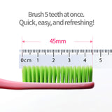 King Head Deep Clean Toothbrush 4 Pack with Mugwort Infused Medium Bristles for Cleaner, Whiter Teeth and Fresher Breath, Large Ergonomic Head for Proper Dental Care