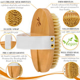 100% Vegan Dry Brushing Body Brush. Firm Dry Brush for Cellulite and Lymphatic. Brushes For Advanced Users. Exfoliating Skin Brush and Free Konjac Sponge, for a Softer, Glowing Skin…