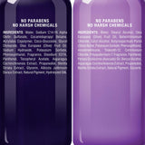 MAJESTIC PURE Purple Shampoo and Conditioner Set - Eliminates Brassy Yellow Tones & Brighten Blonde, Platinum, Ash, Gray and Silver Hair, For Color Treated Hair, Sulfate Free & Paraben Free, 16 fl oz each