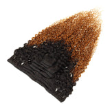 Seelaak Ombre Brown Curly Clip in Hair Extensions Brazilian Virgin Remy Hair Kinky Curly Clip Ins Human Hair Extension