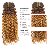 Clip in Human Hair Extensions Afro Jerry Curly 3B 3C Real Hair Clip in Extensions For Black Women Natural Black Color 100% Brazilian African American Hair Extensions (14 inch, Jerry Curly #1B/27)
