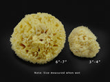 Premium Natural Sea Wool Sponges - 2 Soft Real Sponges 6"-7" (Large) & 3"- 4" (Medium); Perfect Luxury Gift for Bath, Shower and Cosmetic Facial Cleansing by Constantia Beauty