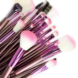 22 PCS Professional Makeup Brush Set Case by Science Purchase (Pink)