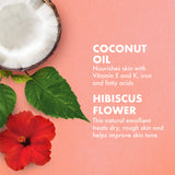 SheaMoisture Coconut and Hibiscus Curl Enhancing Smoothie | Family Size | 16 oz.