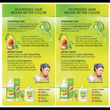 Garnier Hair Color Nutrisse Nourishing Creme, 66 True Red (Pomegranate), 2 Count
