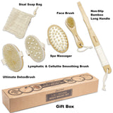 LEPOREM Body Brush - Wet or Dry Brush, Back Brush, Shower & Bath Brush Scrubber with Non-Slip Long handle, Exfoliating Face Brush Massager, Sisal Bag, Cellulite Massager, Natural Bristle, Gift Set