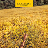 L'Occitane Arlesienne Velvet Hand Cream, 1 oz